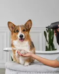 Company Photo 0